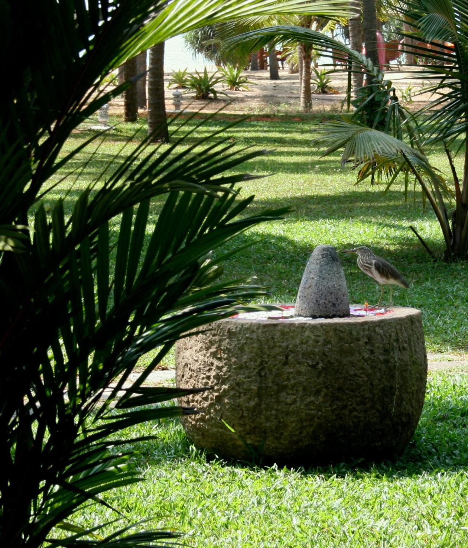 Nīleshwar Neeleshwar Hermitage מראה חיצוני תמונה